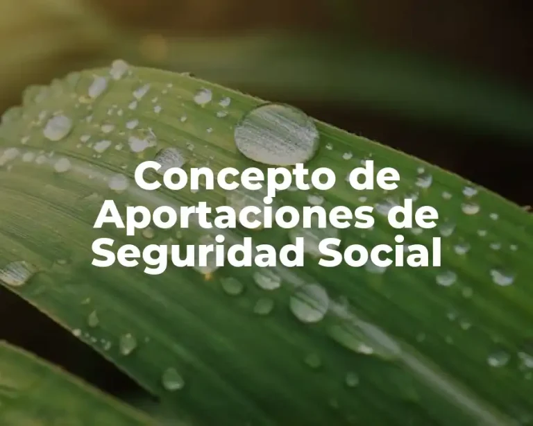 Concepto de Aportaciones de Seguridad Social