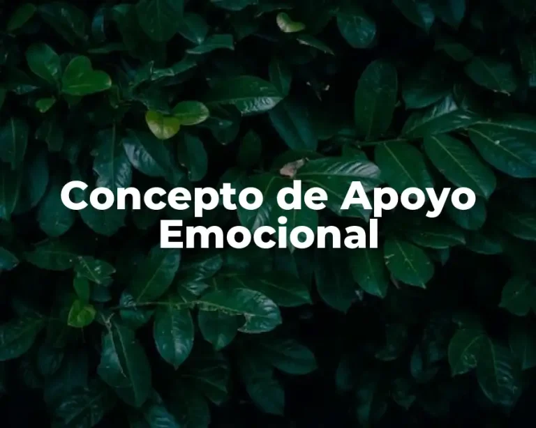 Concepto de Apoyo Emocional