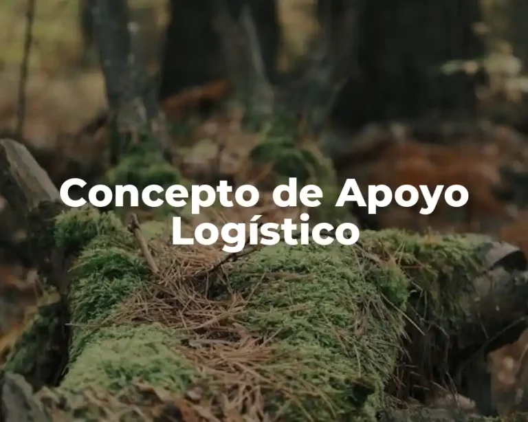 Concepto de Apoyo Logístico
