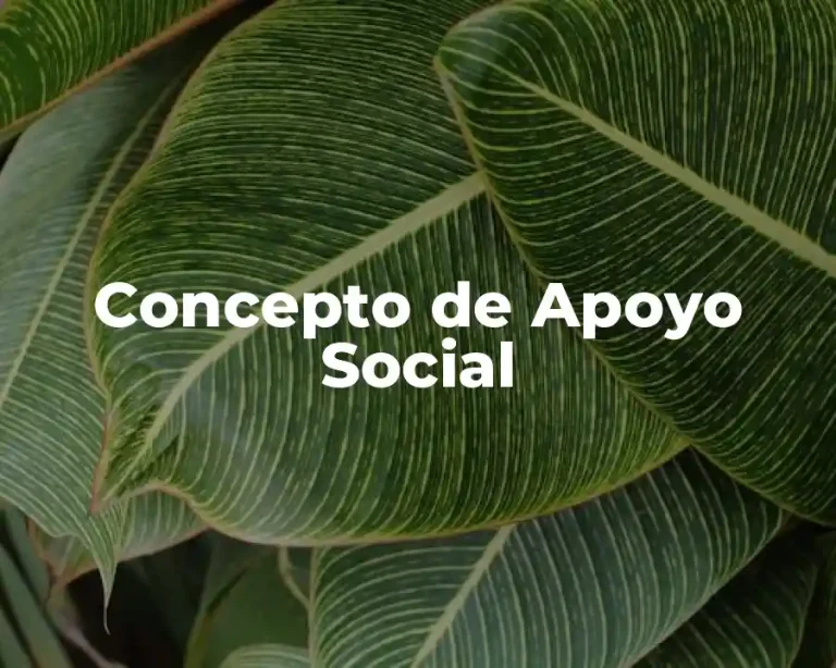 Concepto de Apoyo Social
