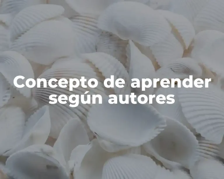 Concepto de aprender según autores