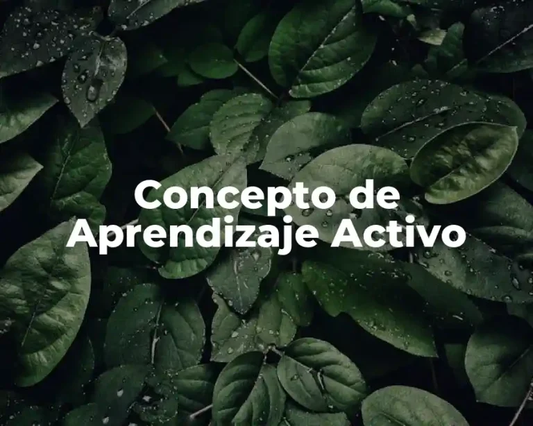 Concepto de Aprendizaje Activo