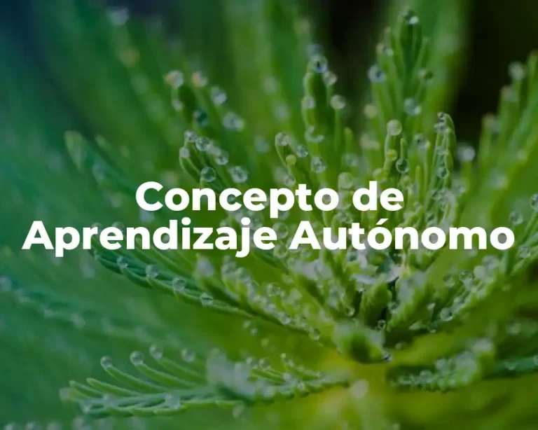 Concepto de Aprendizaje Autónomo