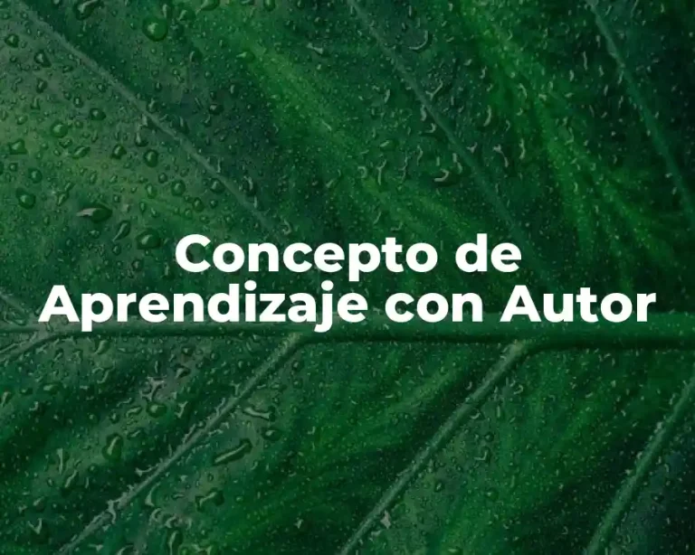 Concepto de Aprendizaje con Autor