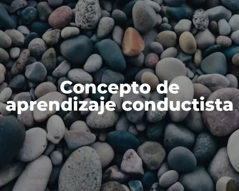 Concepto de aprendizaje conductista