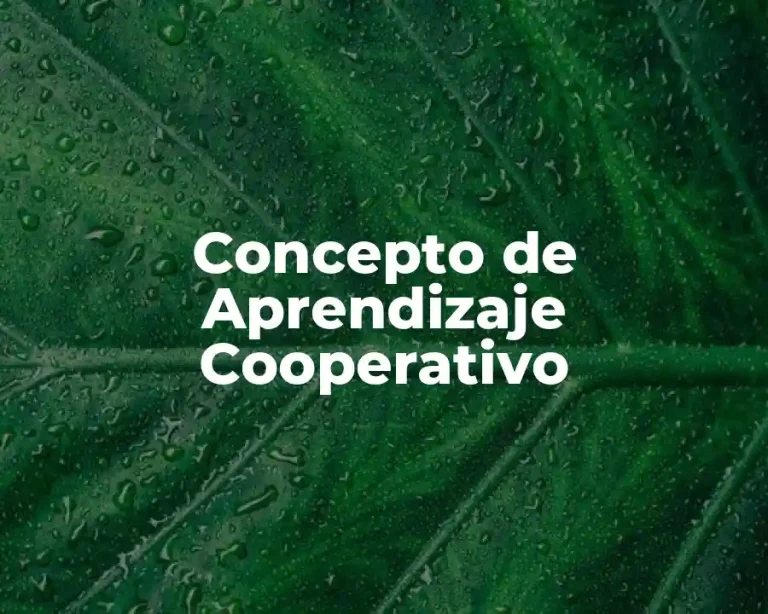 Concepto de Aprendizaje Cooperativo