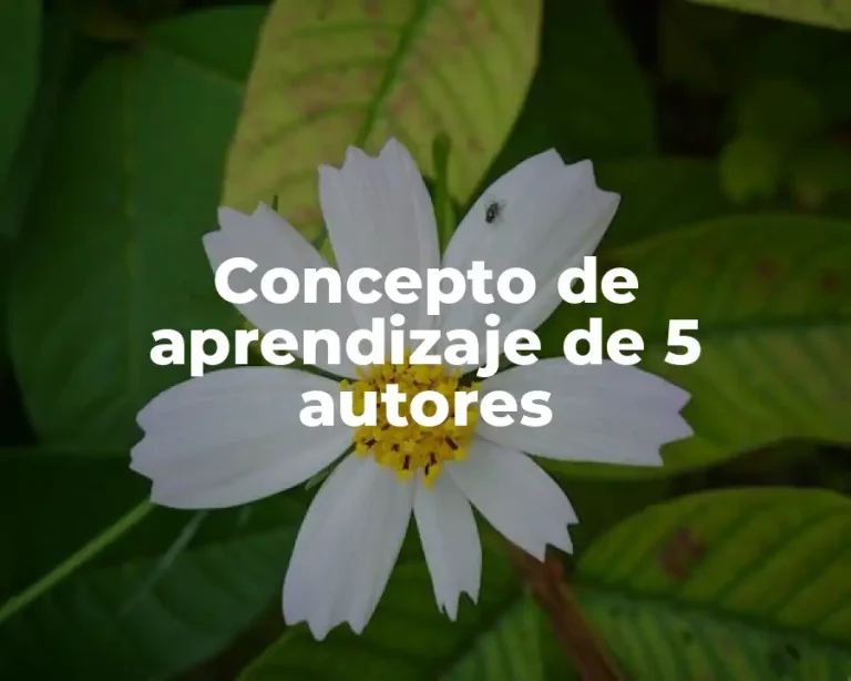 Concepto de aprendizaje de 5 autores