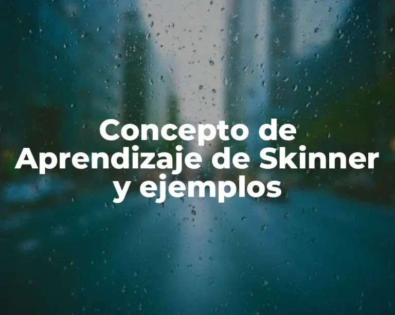 Concepto de Aprendizaje de Skinner y ejemplos