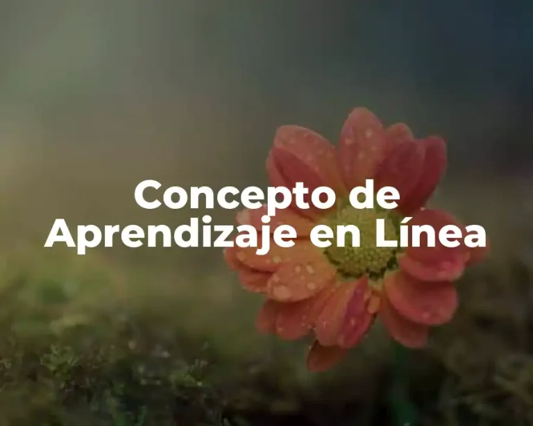 Concepto de Aprendizaje en Línea