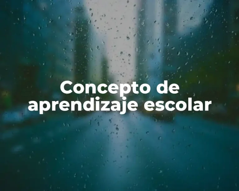 Concepto de aprendizaje escolar
