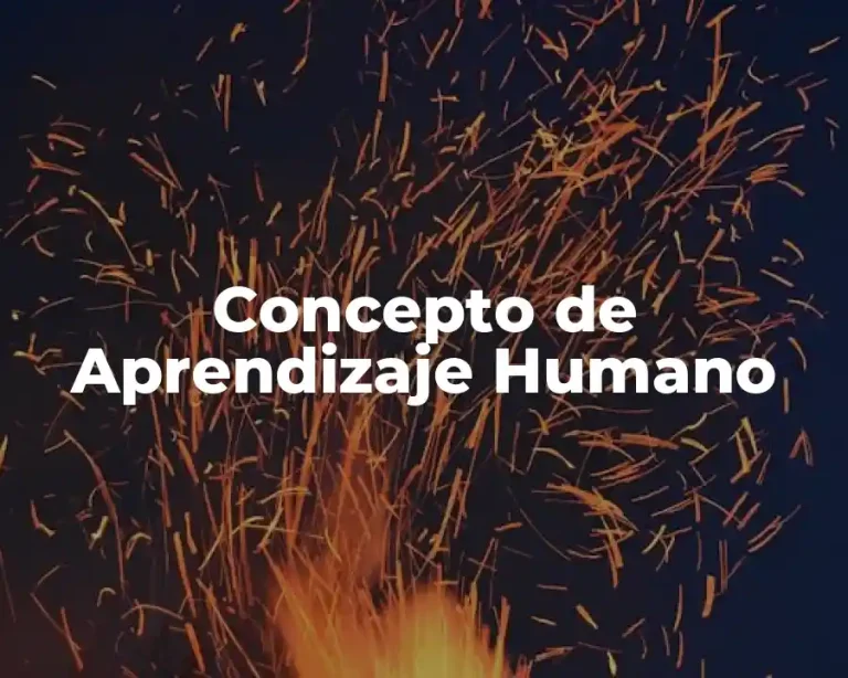 Concepto de Aprendizaje Humano
