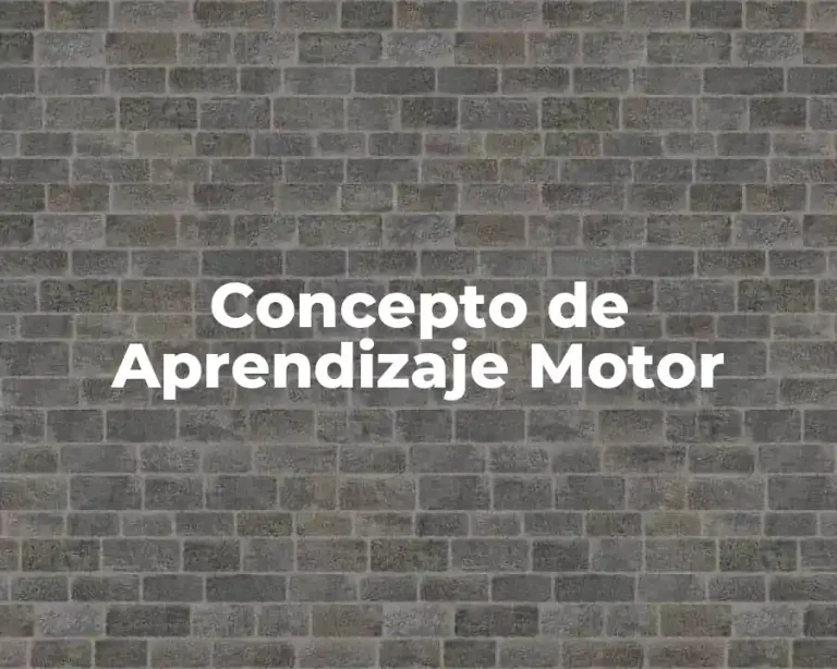 Concepto de Aprendizaje Motor