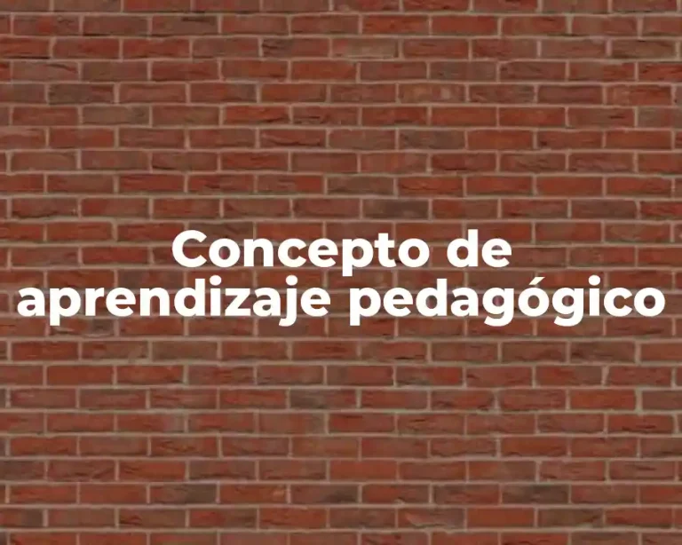 Concepto de aprendizaje pedagógico