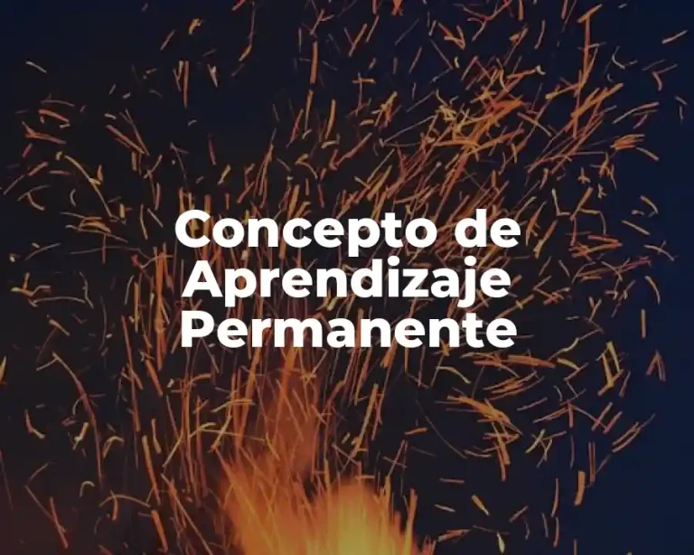 Concepto de Aprendizaje Permanente