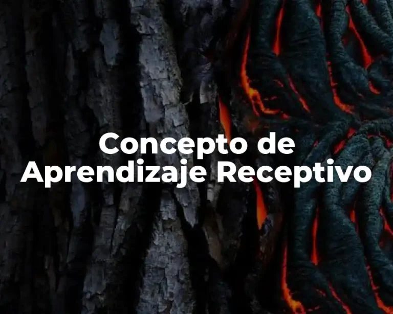 Concepto de Aprendizaje Receptivo