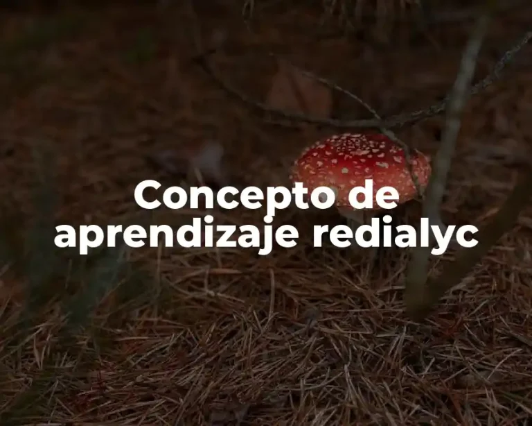 Concepto de aprendizaje redialyc