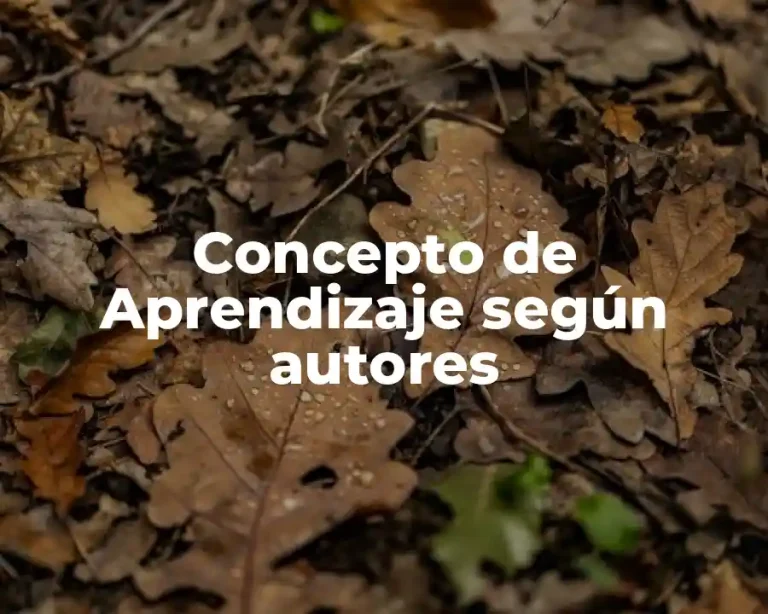 Concepto de Aprendizaje según autores