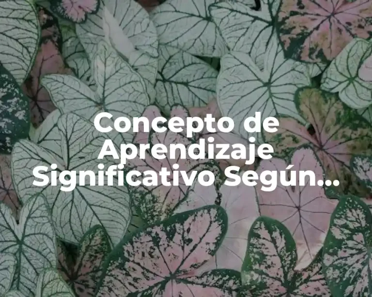 Concepto de Aprendizaje Significativo Según Ausubel