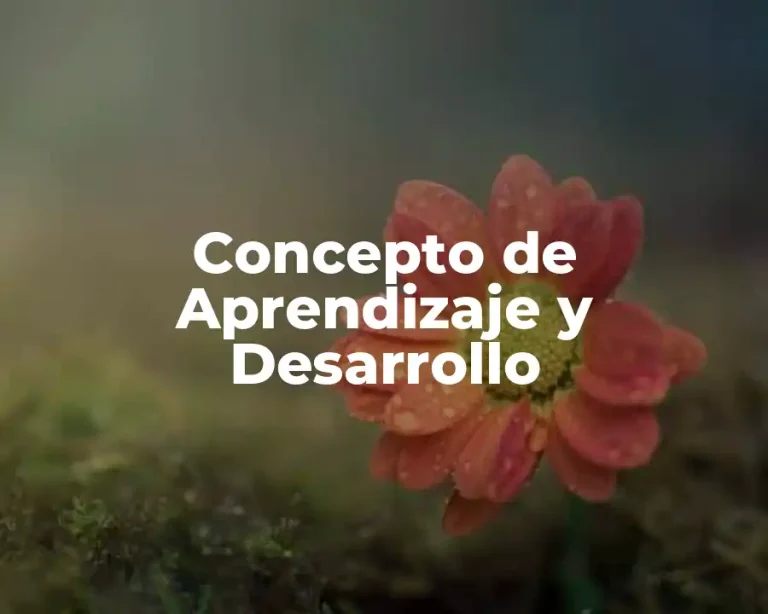 Concepto de Aprendizaje y Desarrollo