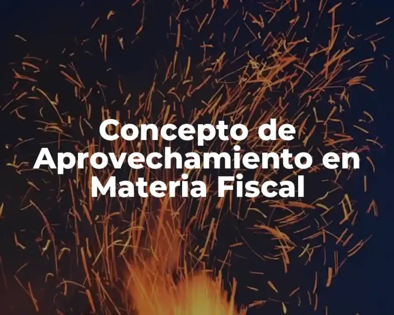 Concepto de Aprovechamiento en Materia Fiscal