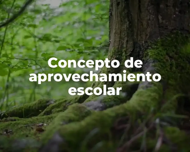 Concepto de aprovechamiento escolar