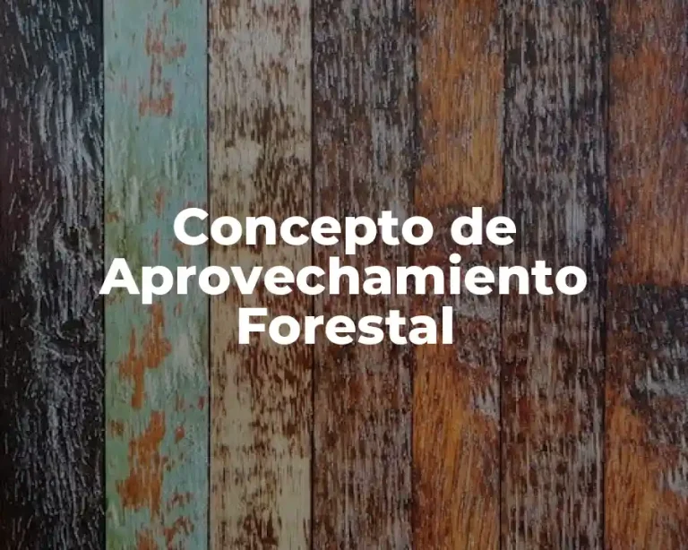 Concepto de Aprovechamiento Forestal