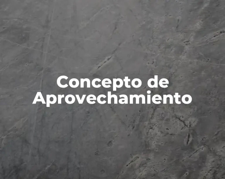 Concepto de Aprovechamiento