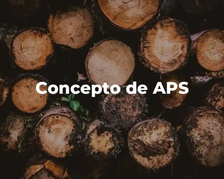 Concepto de APS