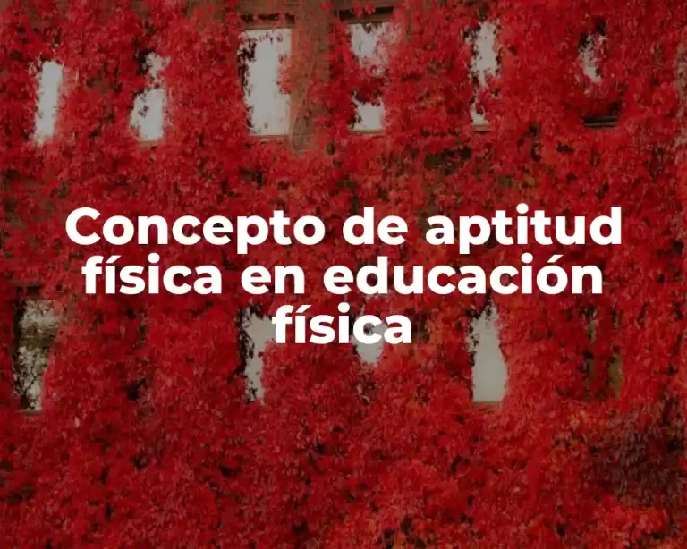 Concepto de aptitud física en educación física