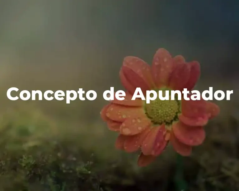 Concepto de Apuntador