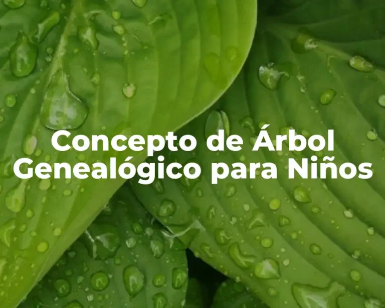 Concepto de Árbol Genealógico para Niños