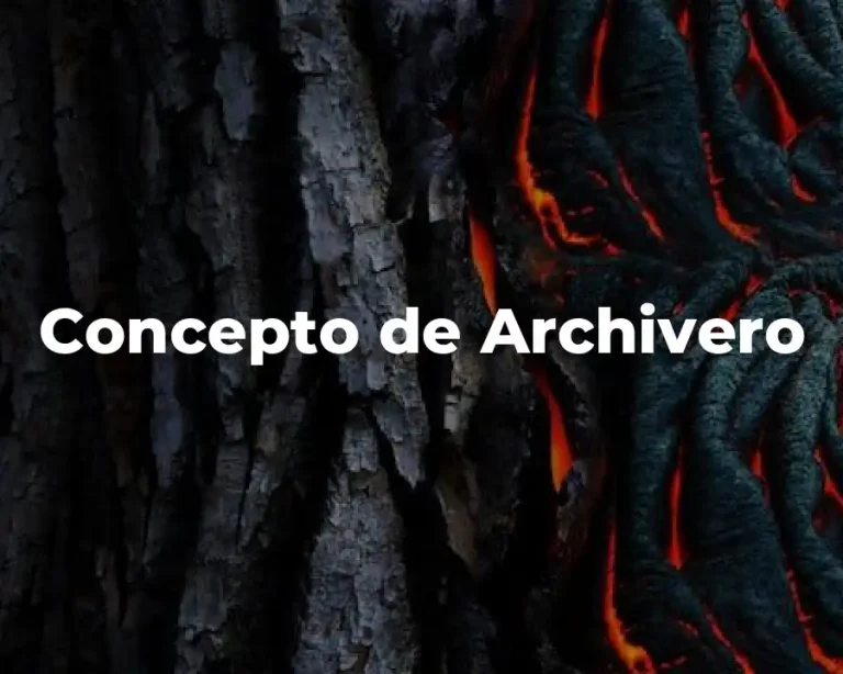 Concepto de Archivero