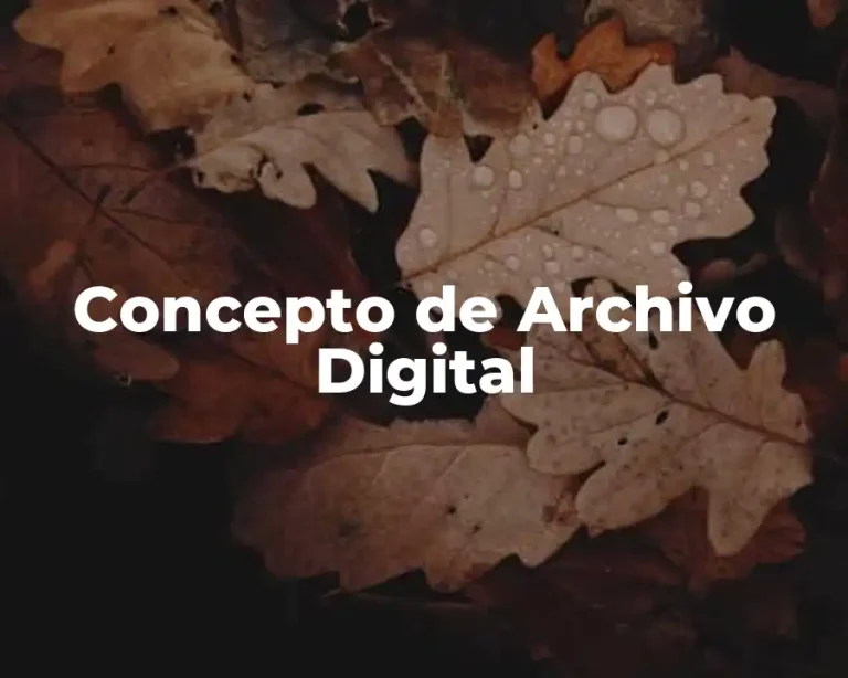 Concepto de Archivo Digital