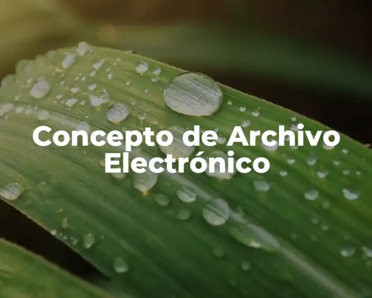 Concepto de Archivo Electrónico