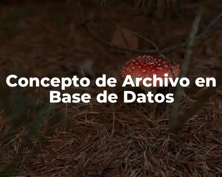 Concepto de Archivo en Base de Datos