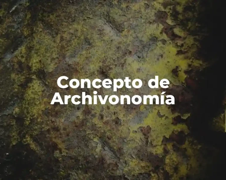 Concepto de Archivonomía