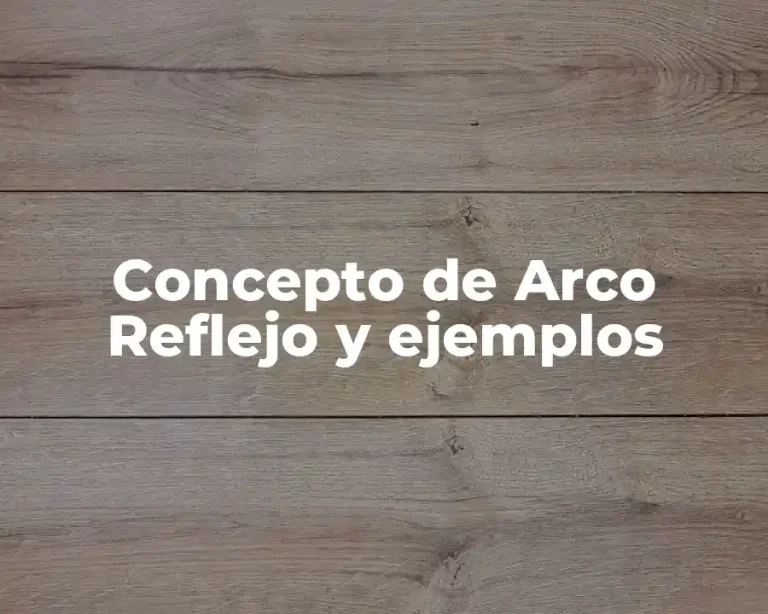 Concepto de Arco Reflejo y ejemplos