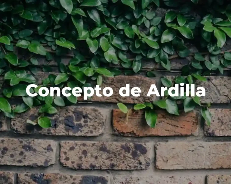 Concepto de Ardilla