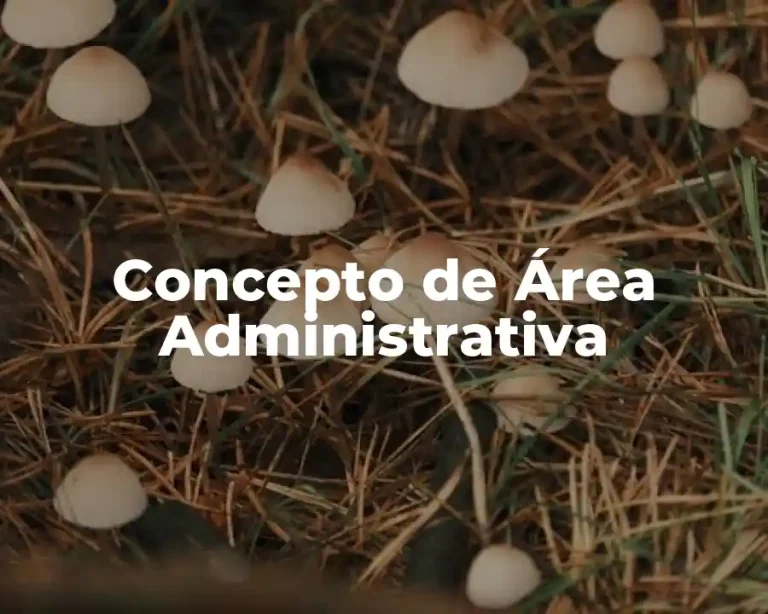 Concepto de Área Administrativa