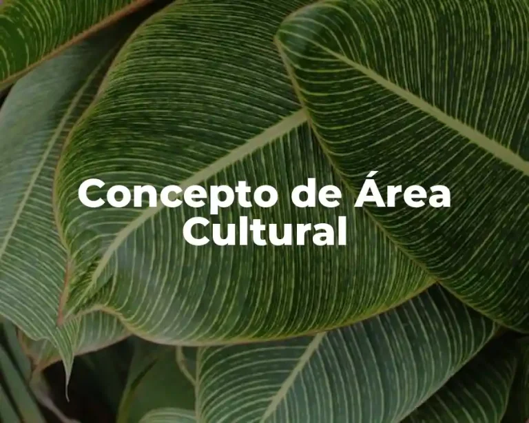 Concepto de Área Cultural