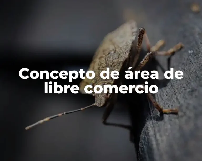 Concepto de área de libre comercio