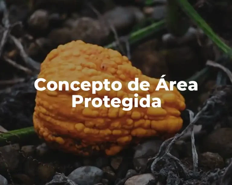 Concepto de Área Protegida