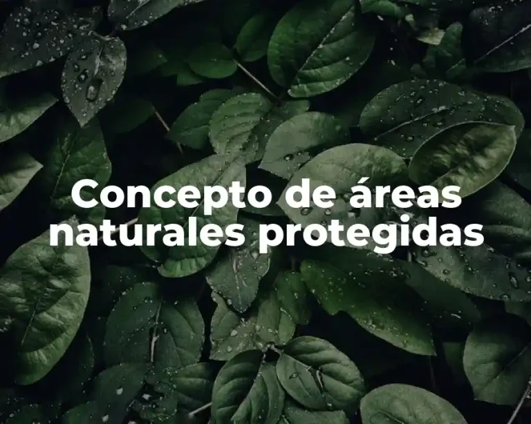 Concepto de áreas naturales protegidas