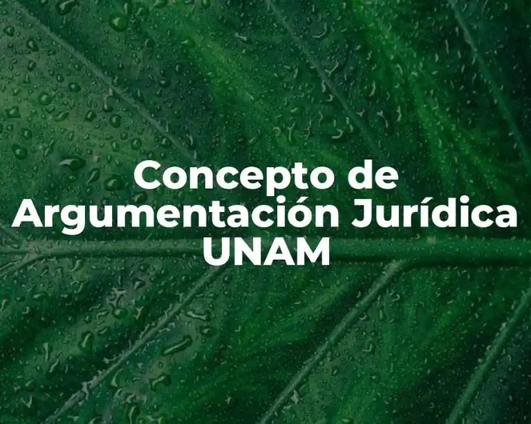 Concepto de Argumentación Jurídica UNAM