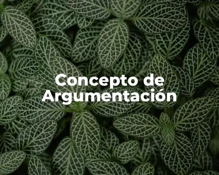 Concepto de Argumentación