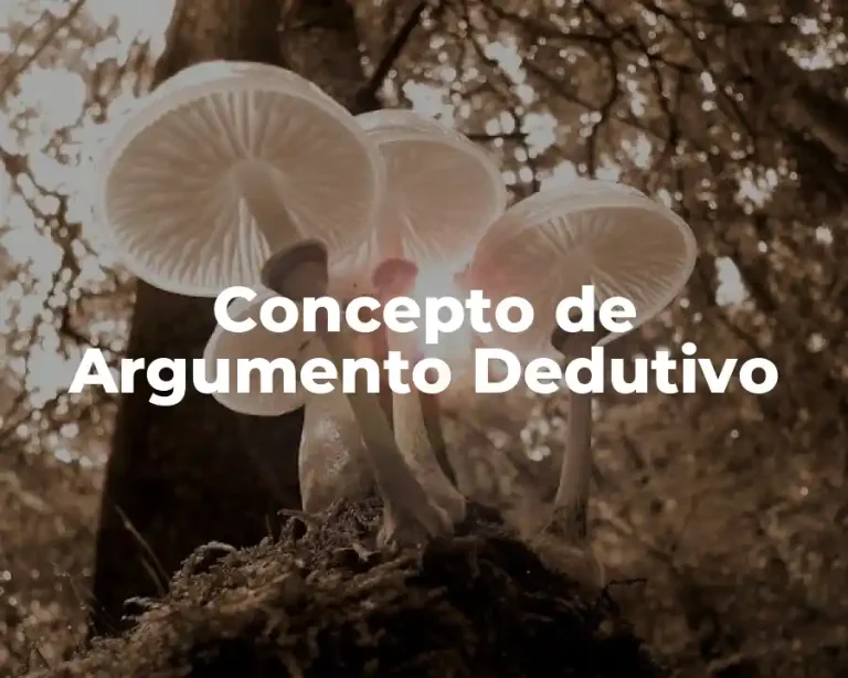 Concepto de Argumento Dedutivo