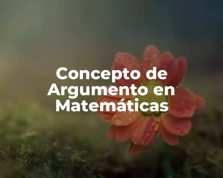 Concepto de Argumento en Matemáticas