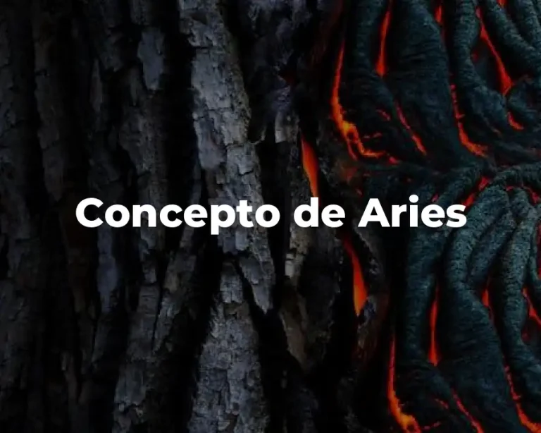 Concepto de Aries