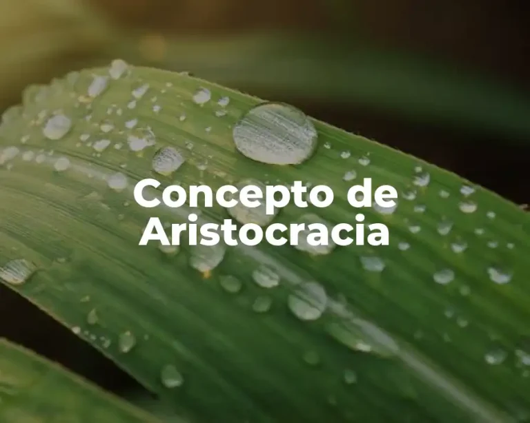 Concepto de Aristocracia