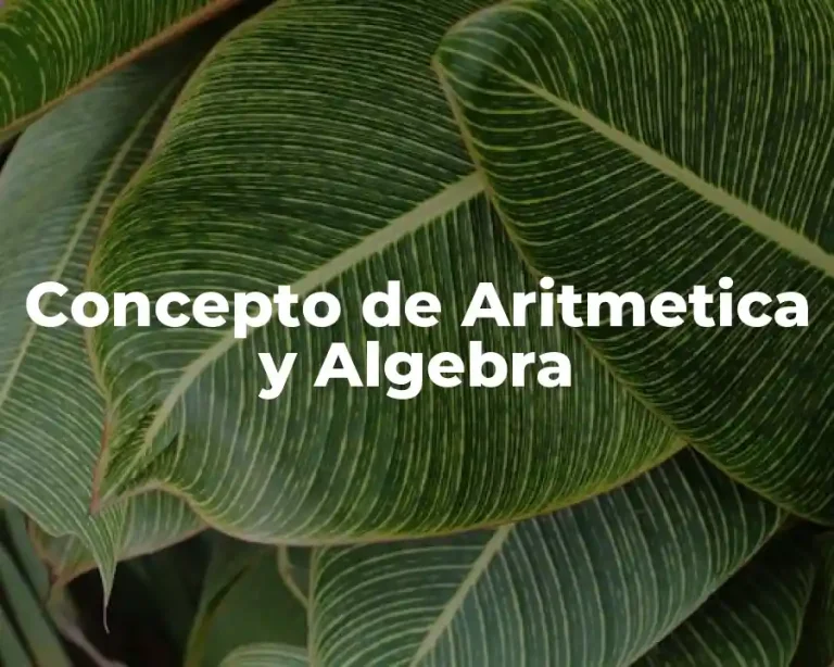 Concepto de Aritmetica y Algebra